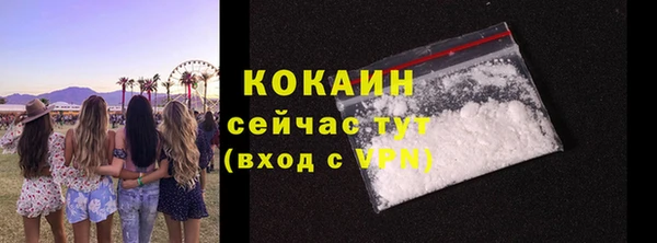трава Гусев