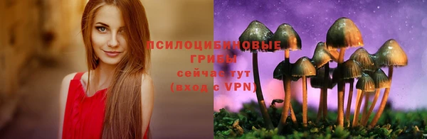 mix Гусь-Хрустальный